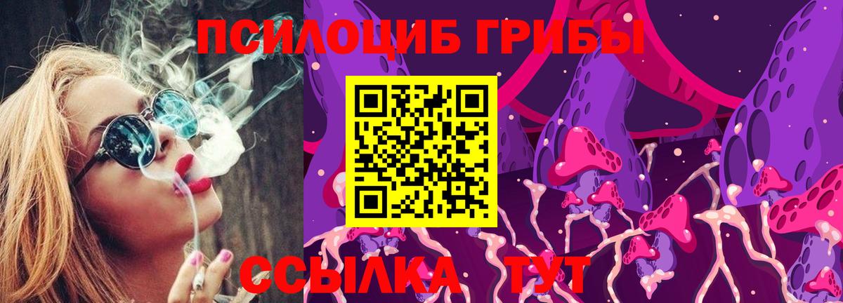 Галлюциногенные грибы Psilocybine cubensis Ивантеевка